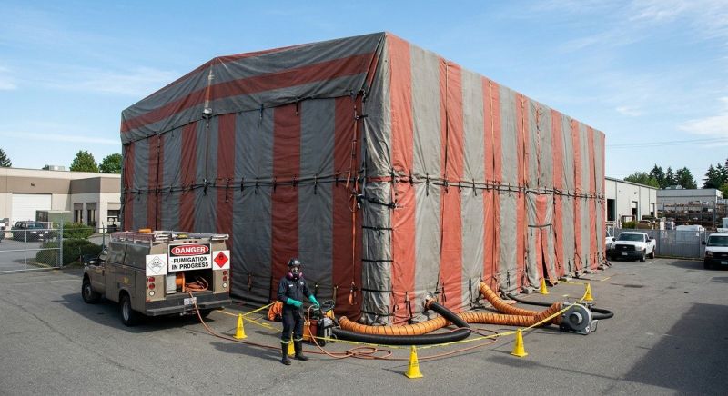 Commercial Fumigation in Davis County, UT