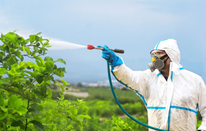 Pest Fumigation Service in Davis County, UT