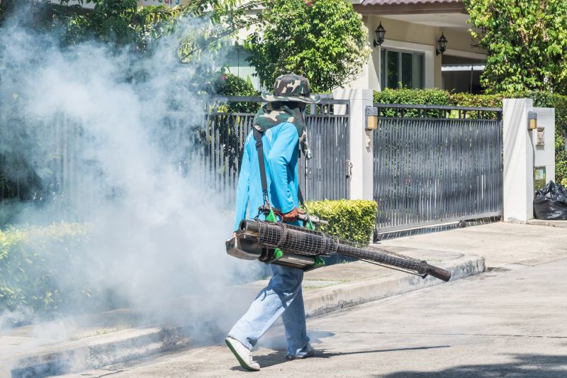 Spider Fumigation Service in Davis County, UT