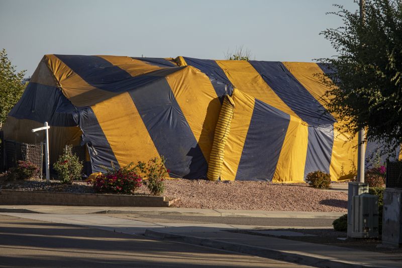 Termite Tenting in Davis County, UT